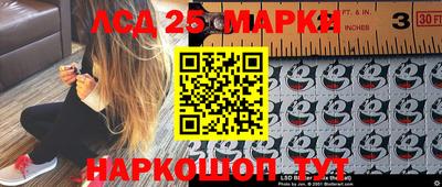 скорость Гусев